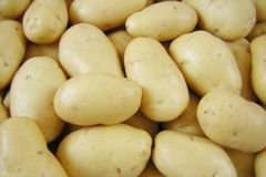 potato-1488354