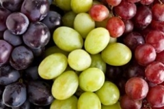 seedless-grapes-250x250